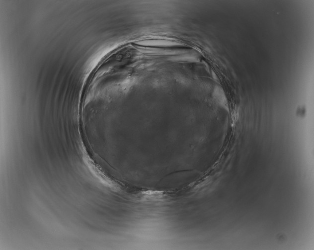 X0000116280052200912211827
