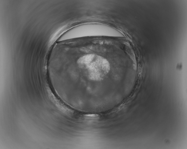 X0000116280053200912211827