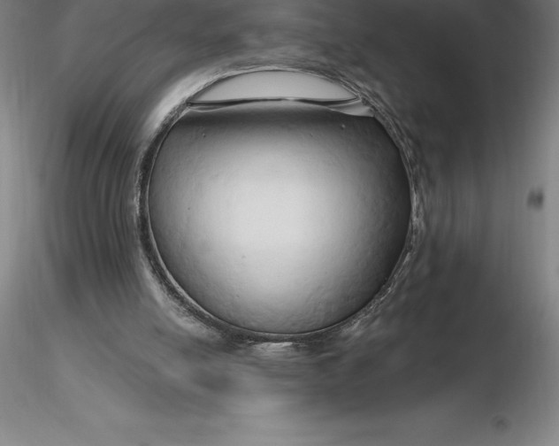 X0000116280054200912211827