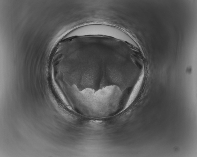 X0000116280055200912211828