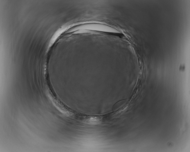 X0000116280056200912211828
