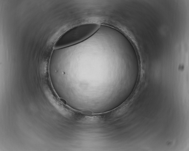 X0000116280057200912211828