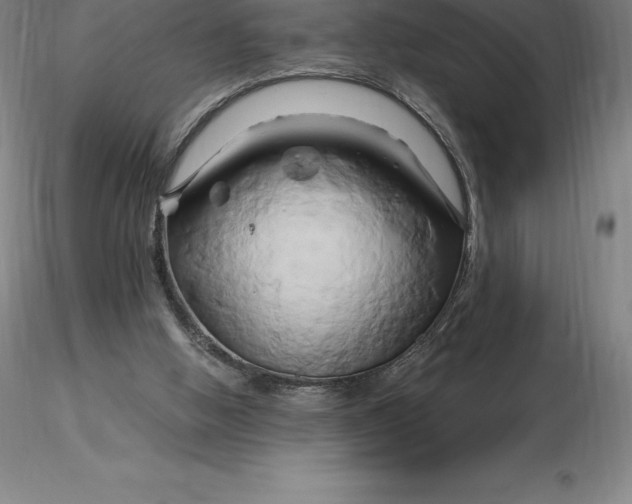 X0000116280058200912211828