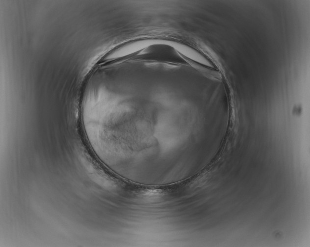X0000116280059200912211828