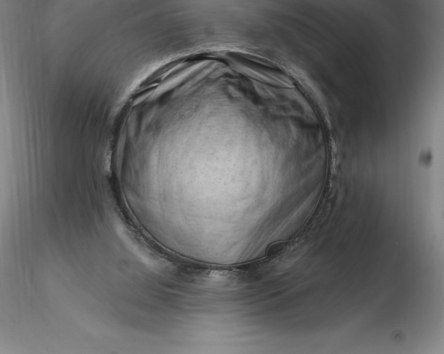 X0000116280060200912211828
