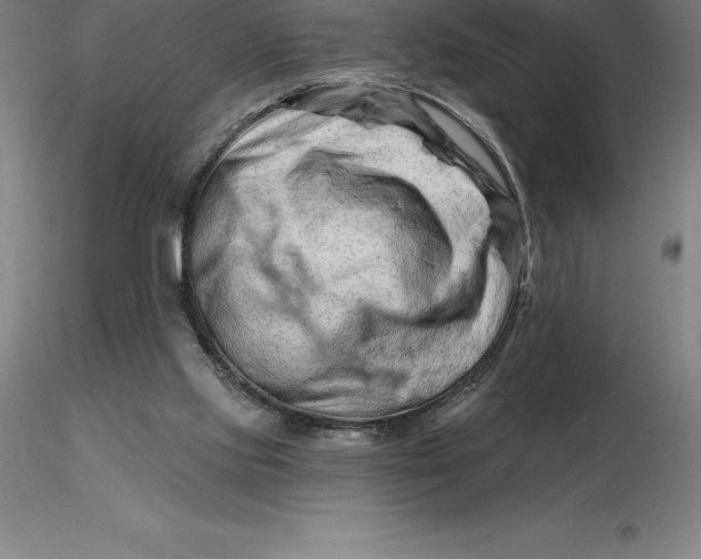 X0000116280061200912211828