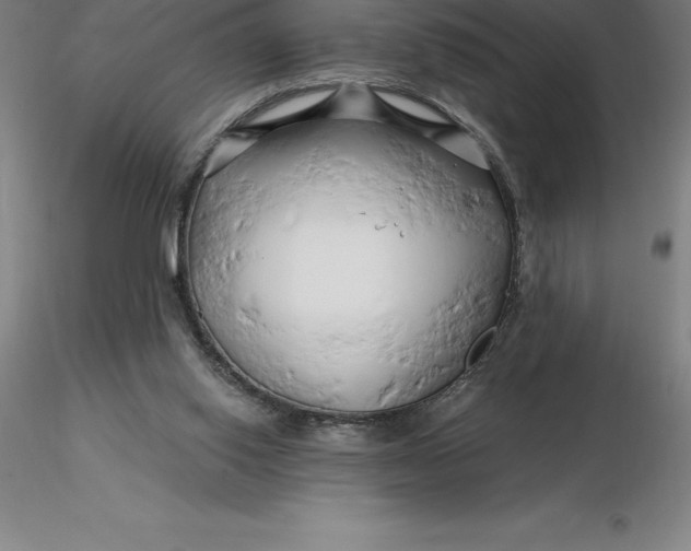 X0000116280062200912211828