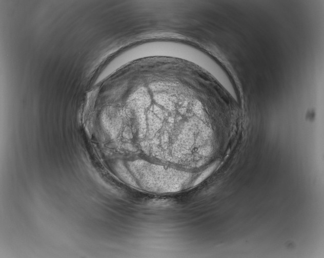 X0000116280063200912211828