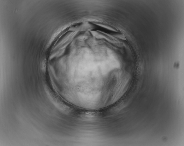 X0000116280064200912211828