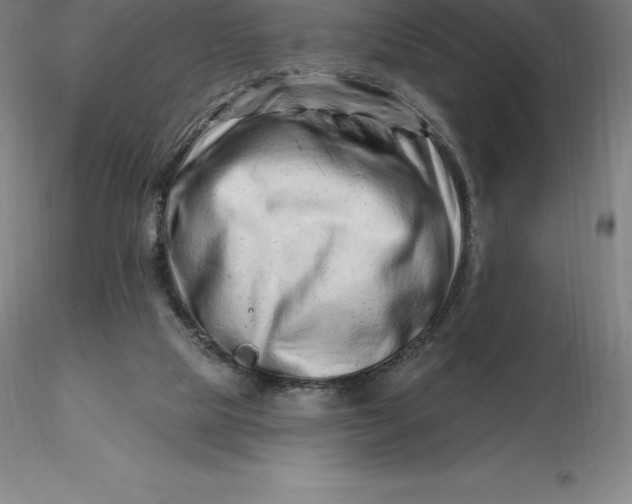 X0000116280065200912211828