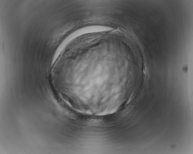 X0000116280066200912211828