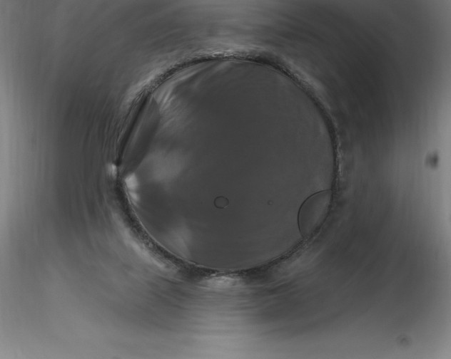 X0000116280067200912211828