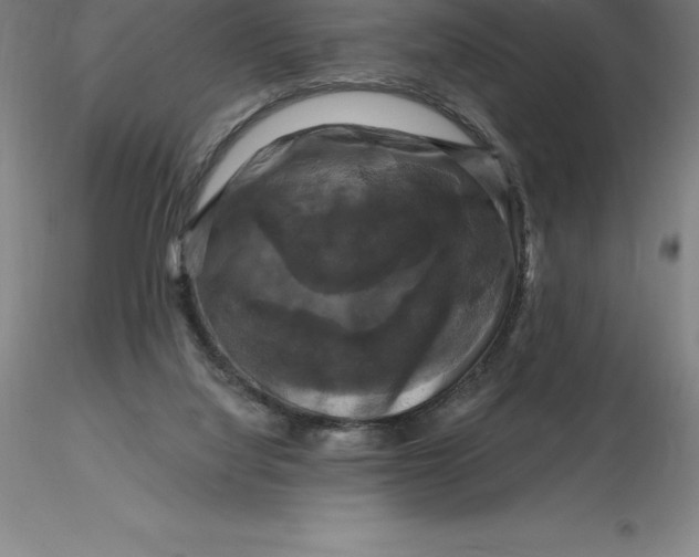 X0000116280068200912211828