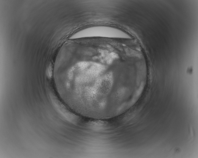 X0000116280069200912211828
