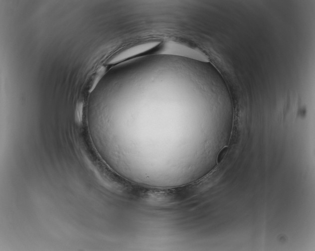 X0000116280070200912211828