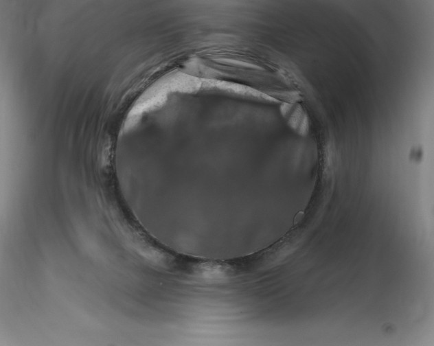 X0000116280073200912211828