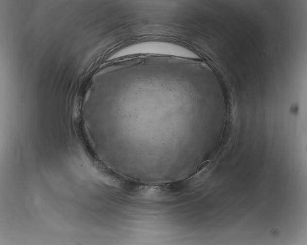 X0000116280074200912211828