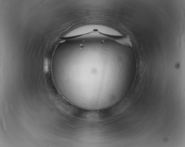 X0000116280075200912211828