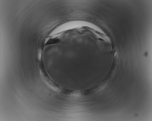 X0000116280076200912211828