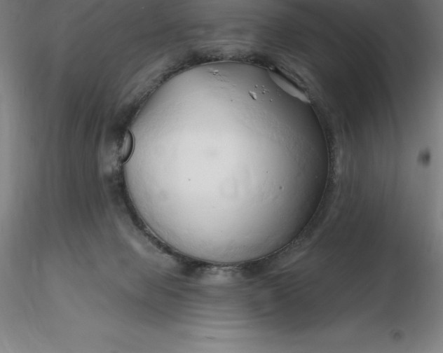 X0000116280077200912211828