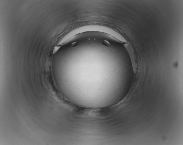 X0000116280078200912211828