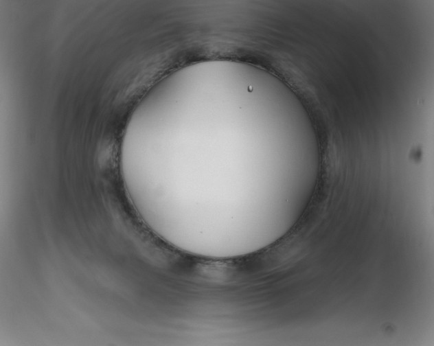 X0000116280079200912211828