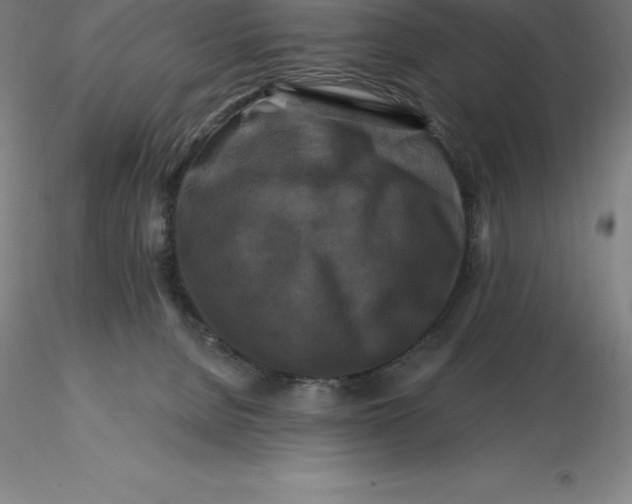 X0000116280080200912211828
