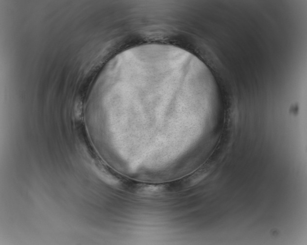 X0000116280081200912211828