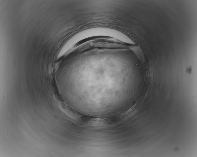 X0000116280082200912211828