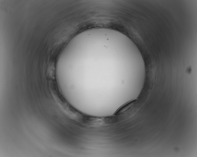 X0000116280083200912211828