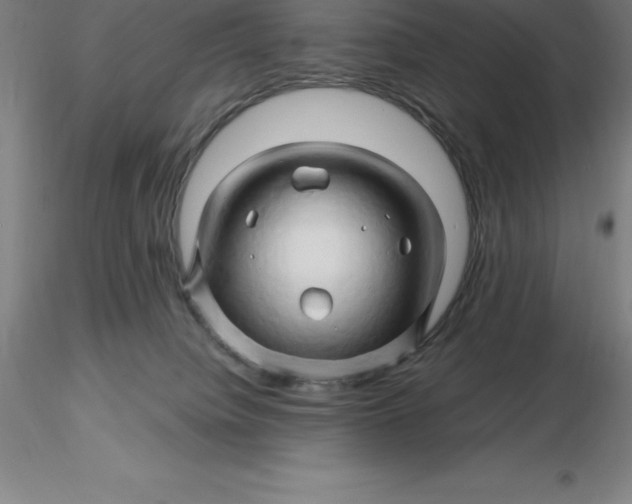 X0000116280084200912211828