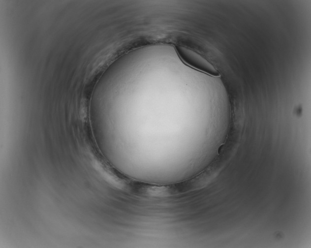 X0000116280085200912211828