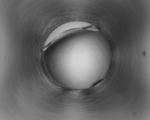 X0000116280086200912211828