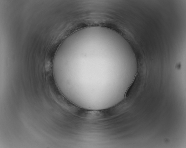 X0000116280087200912211828