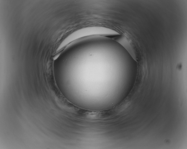 X0000116280088200912211828
