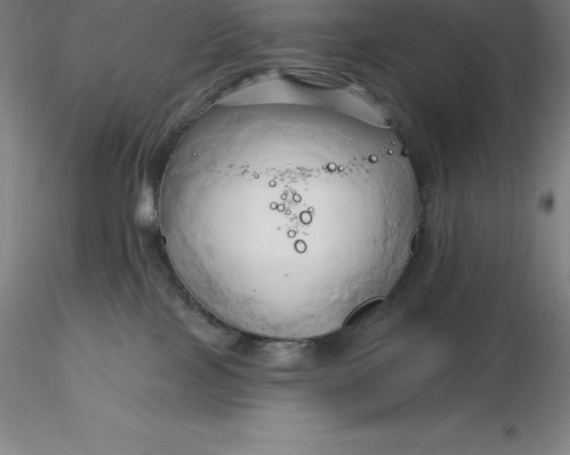 X0000116280089200912211828