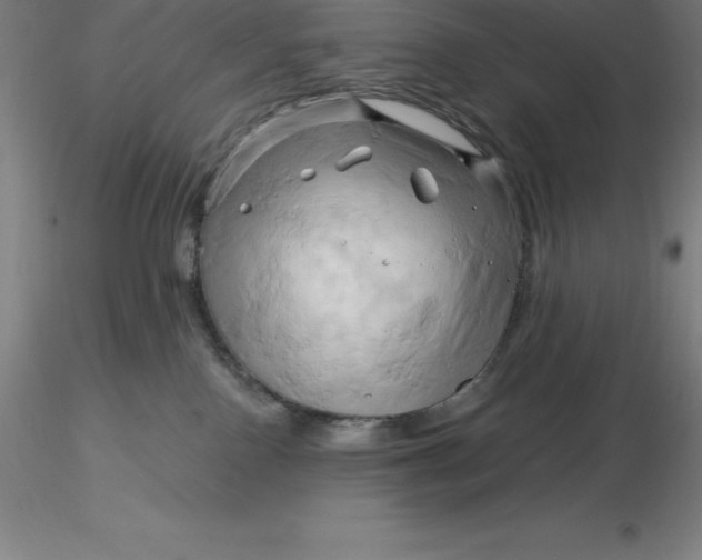 X0000116280090200912211828