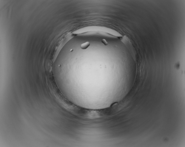 X0000116280091200912211828