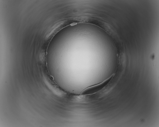 X0000116280092200912211828