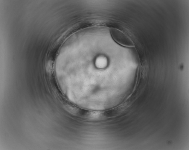 X0000116280093200912211828