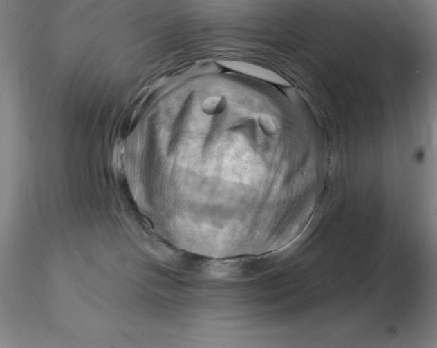 X0000116280094200912211828