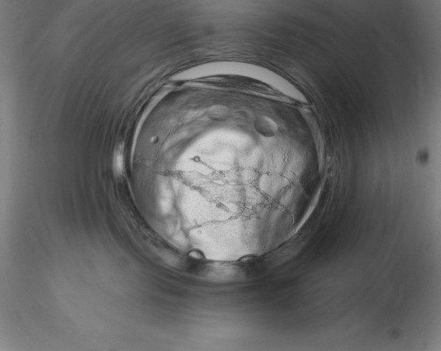 X0000116280095200912211828