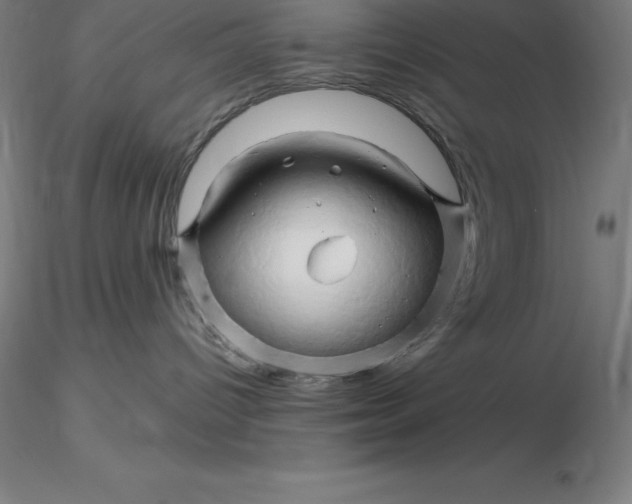 X0000116280096200912211828