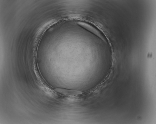 X0000116280097200912211827