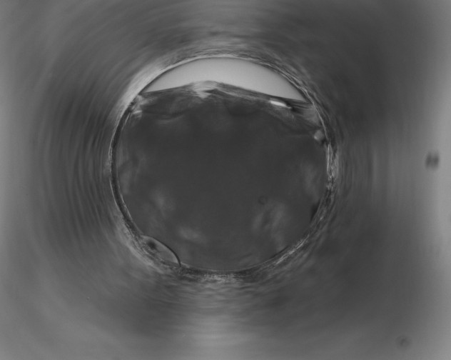 X0000116280099200912211827
