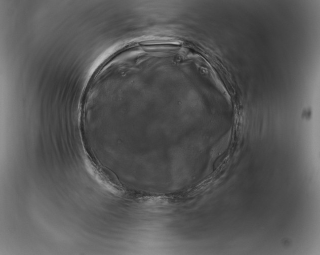 X0000116280100200912211827