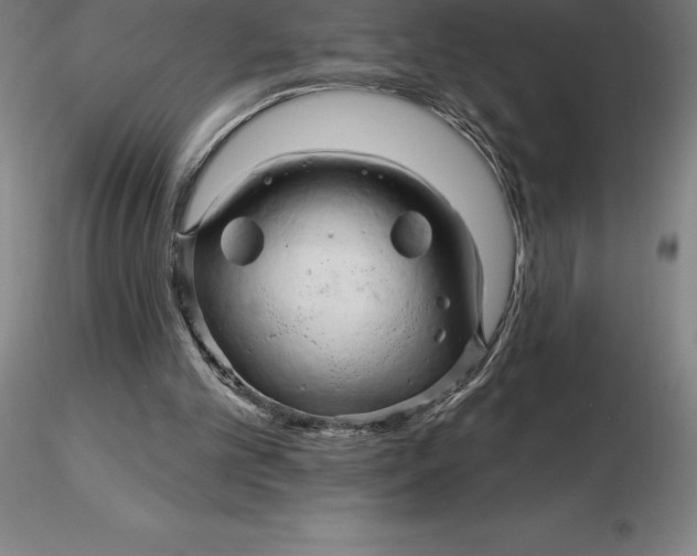 X0000116280101200912211827