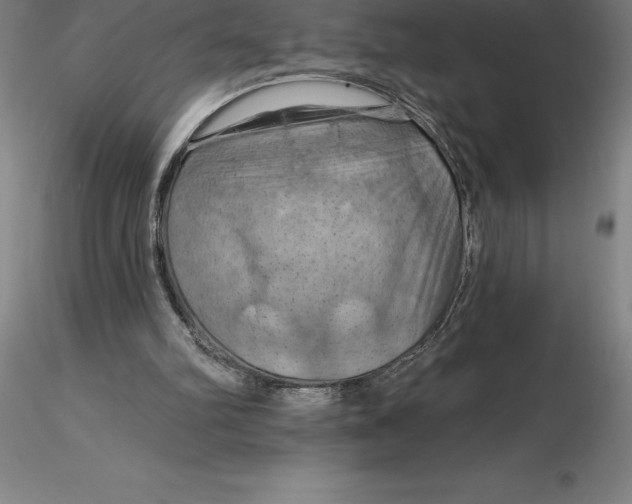 X0000116280102200912211827