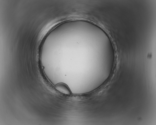 X0000116280103200912211827