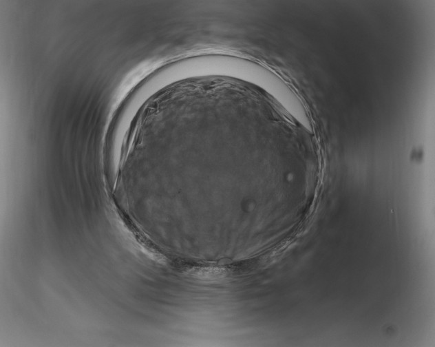 X0000116280104200912211827